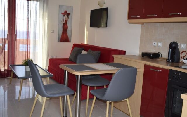 Astrantia-Adults Only