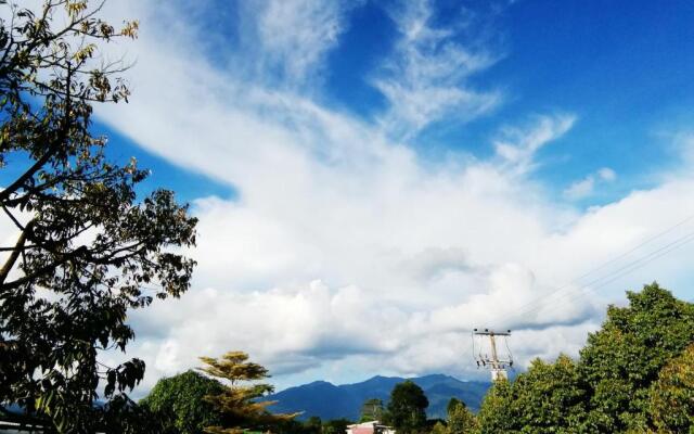 Wilderness Mountain View