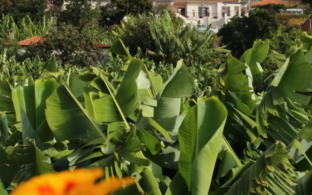 Vila Marta