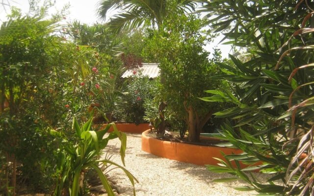 Coco Palm Garden