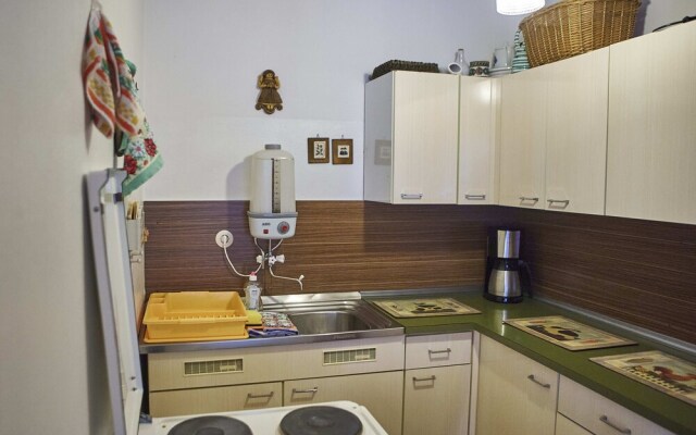 Appartement Mountain Life