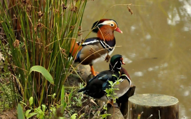 Woodlands Self Catering, Knysna