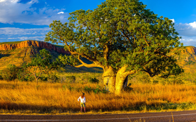 El Questro Wilderness Park - Kununurra office