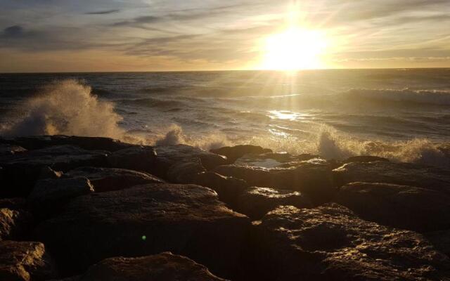 Appartement de l'olivier