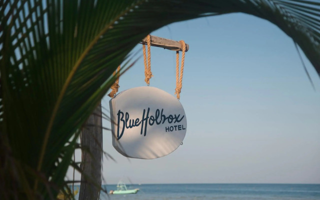 Blue Holbox