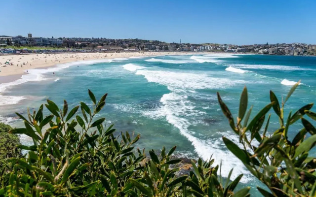 Edward Escape - Short Walk to Beach