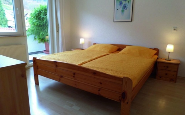 Apartmenthaus "Zum Löwen" Heidelberg - Ziegelhausen
