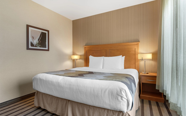 Best Western King George Inn & Suites