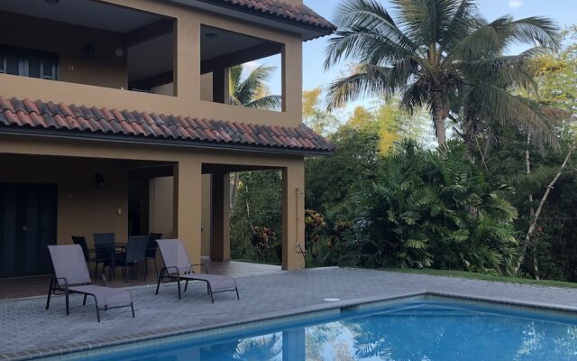 Las Palmas Inn