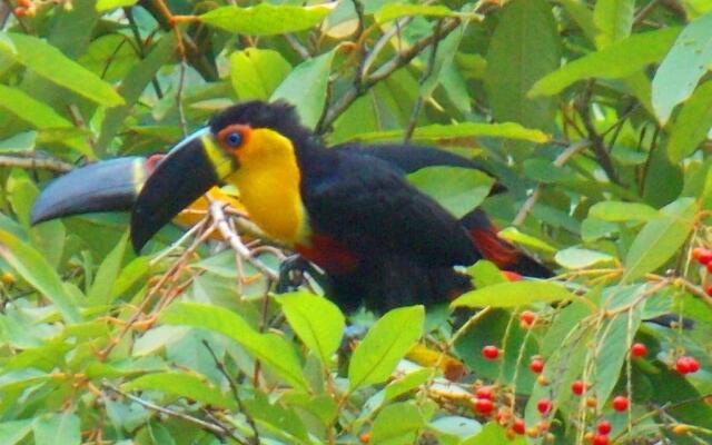 Hotel Sol do Pernambuco
