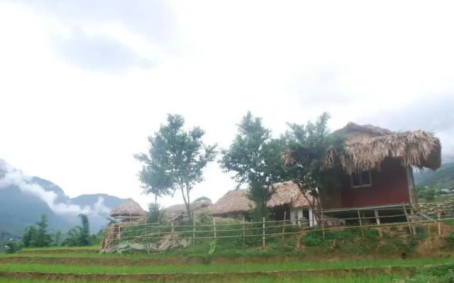 Golden Rice Garden Sapa