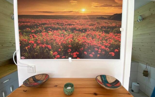 Matilda II - lovely Matilda