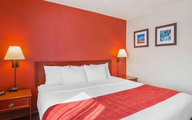 Comfort Inn & Suites University