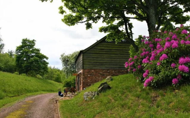 Kidcleugh Hide