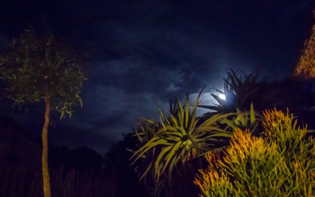 Elephants Lodge - Bellevue Forest Reserve