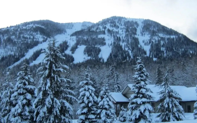 Mountain Town Properties Black Jack's Flat