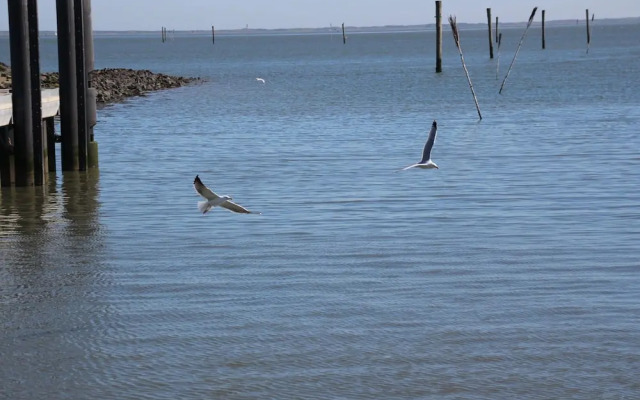 Ferienwohnung mit Sonnenterrasse in Dornumersiel