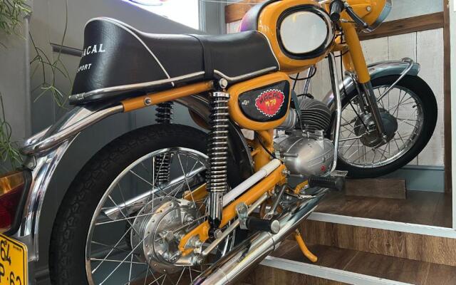 Starboard Stays Southampton