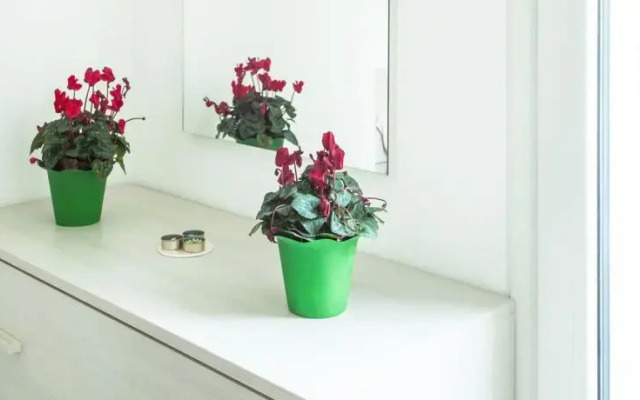 Rentopolis Lambrate - Bertolazzi