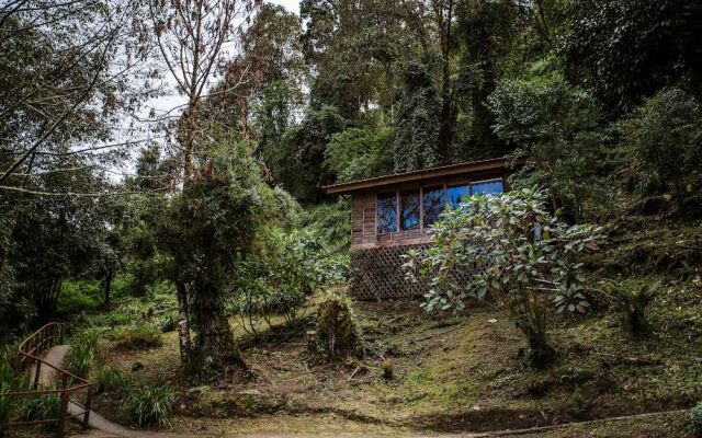 Paraíso Quetzal Lodge