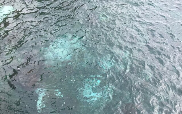 Penthouse Caniço de Baixo