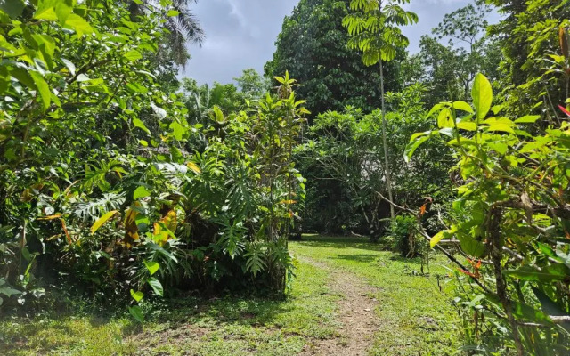 Tranquility Lodge