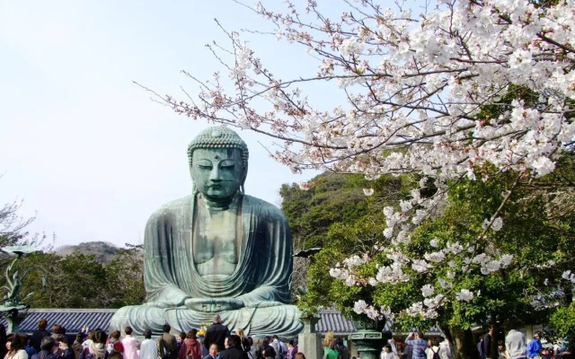 Credo Maison Kamakura 202