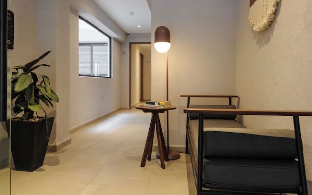 Choapan 28 - Lux Apartments in Condesa