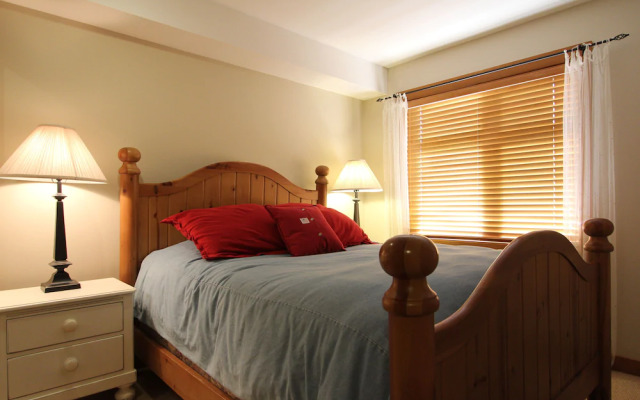 Beautifully Renovated, Fantastic Views Ski in out 3 Beds - Mountain Star