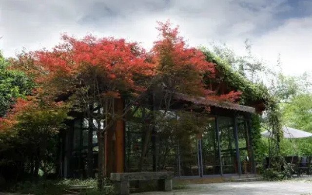 Wuyishan Guanjing Shanfang Hotel