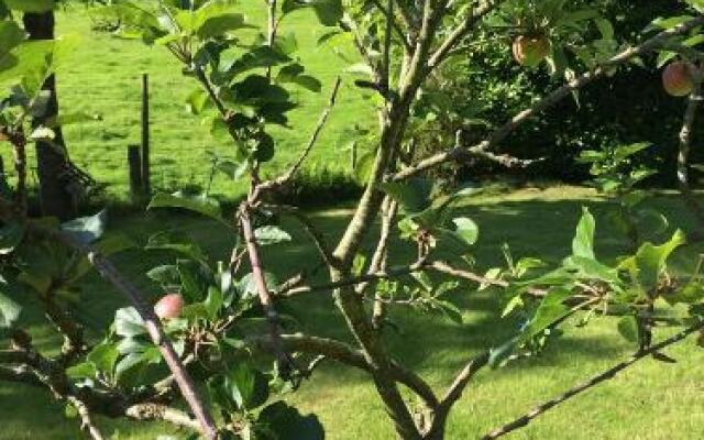 Willowbank