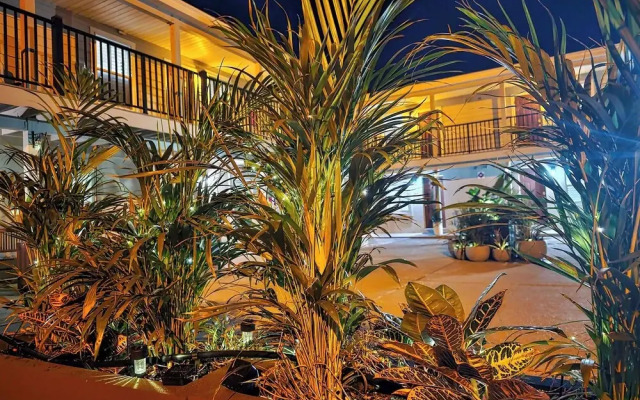 Beach 5 Villas - Immaculate 300 steps from the Ocean