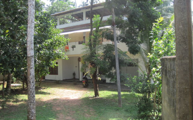 Jungleside House