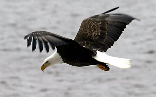 Holiday Inn Express Moline - Quad Cities Area by IHG