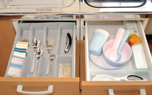 Vivid Zebra House - 197-1