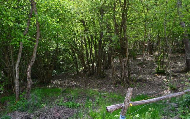 Sant'Apollinare Farm House