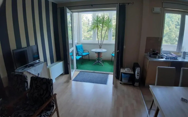 Gambrinusz Wellness Apartment De Lux