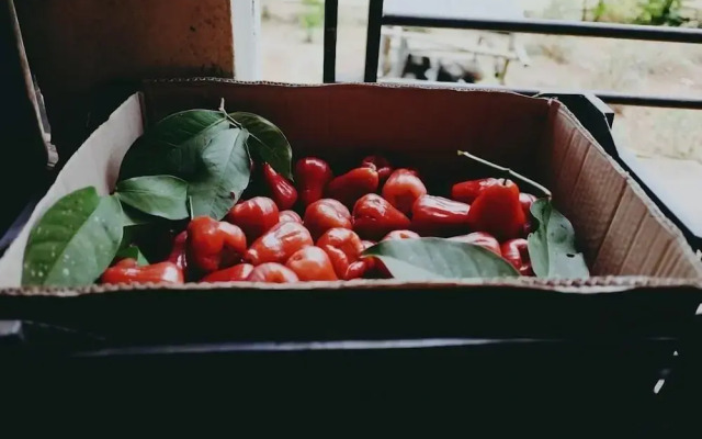 Sumvilla Homestay - Hostel