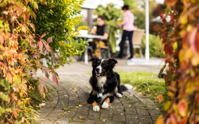 Hotel Landgasthof Gilsbach