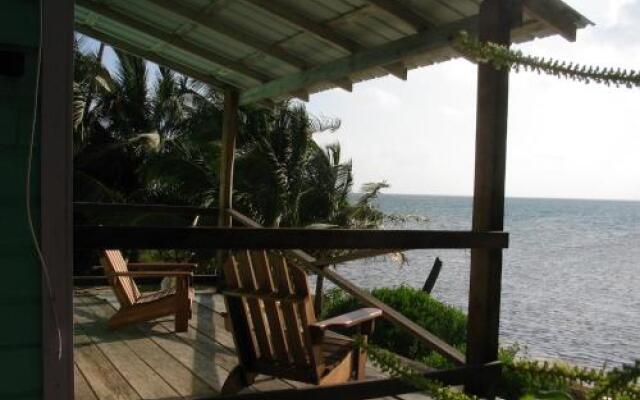 coconut grove
