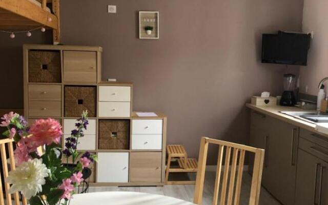 Magnifique Studio centre Troyes