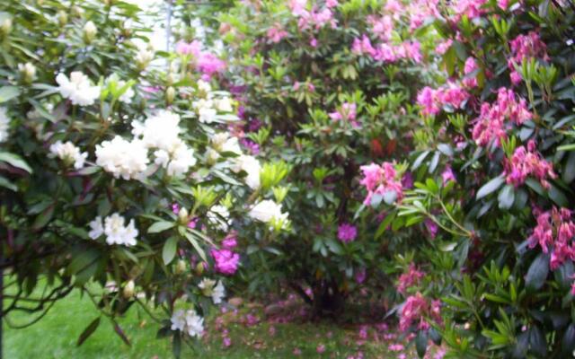 Arbor View House B&B