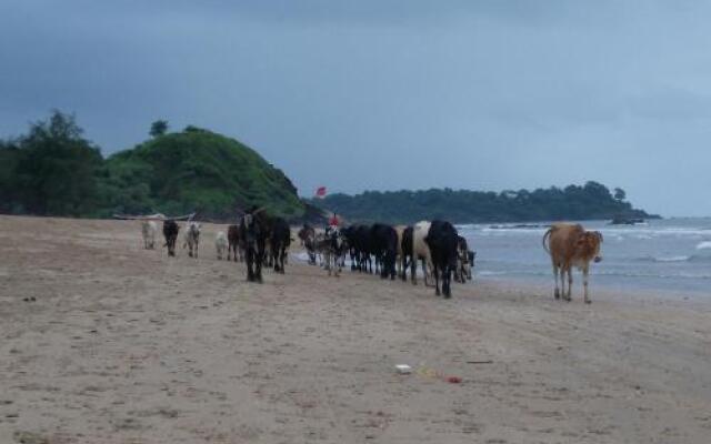 Sun N Moon Palolem Beach