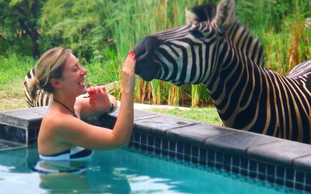 Turaco Lodge