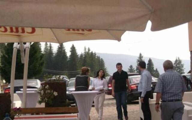 Pensiunea Alpina Casi & Spa