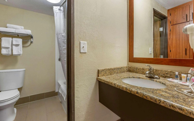 Comfort Inn & Suites Phoenix North / Deer Valley