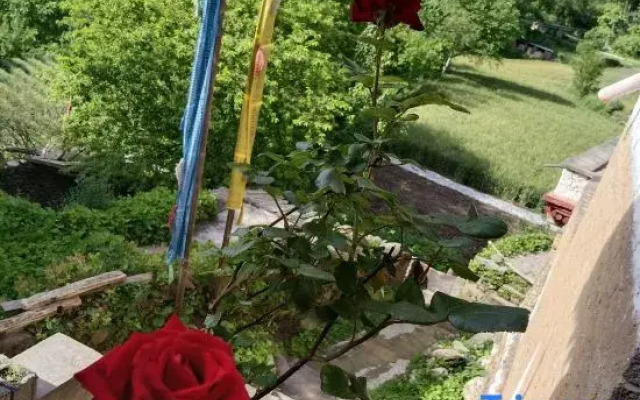 Jiangchu Tai Reception Station