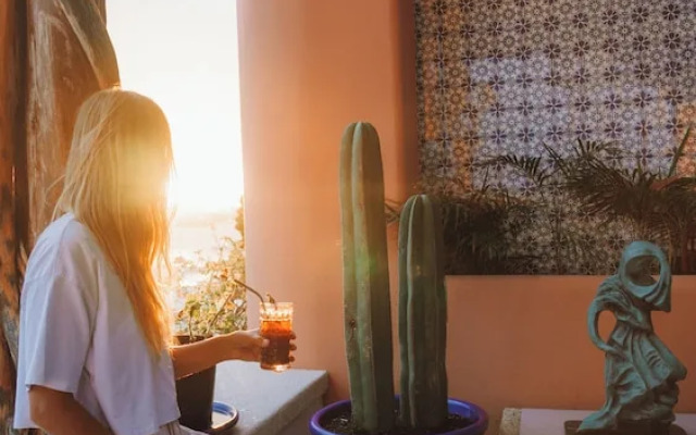 Casa Tortugas Boutique Hotel, A Hidden Gem in Cancun