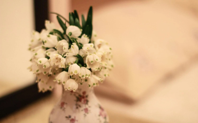 Studio Marka Vovchka