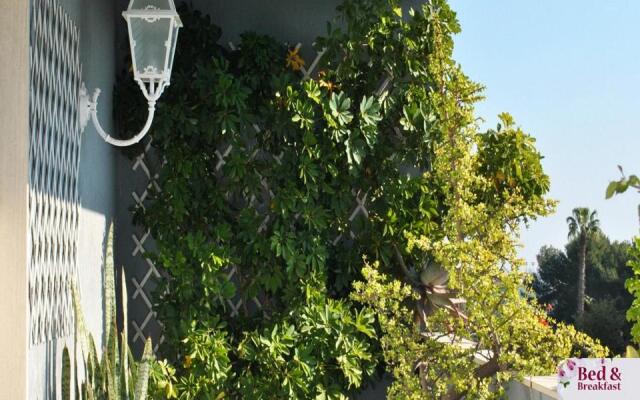 Bed and Breakfast Silvana